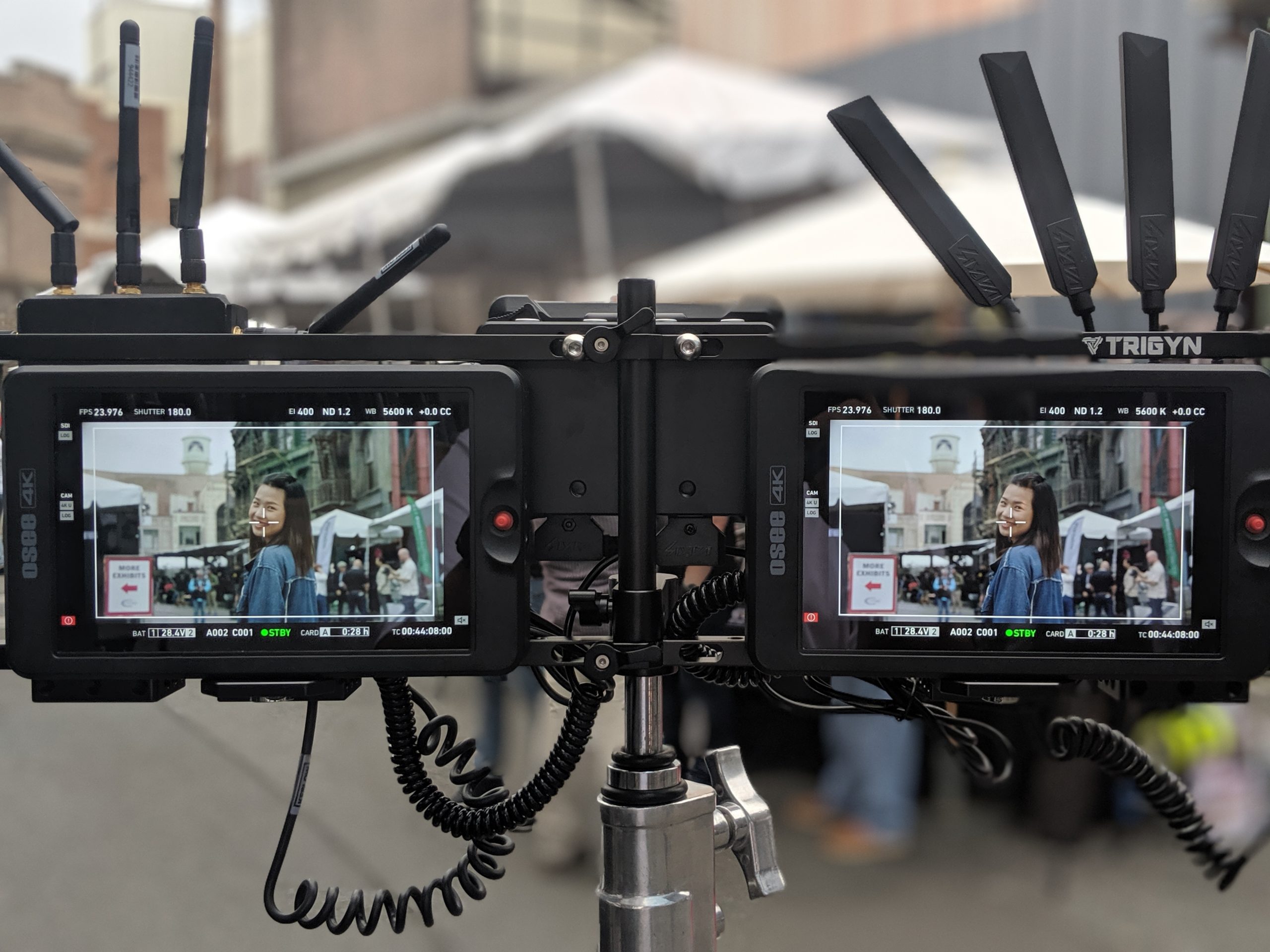 TRIGYN Modular Director's Monitor Cage (Dual)