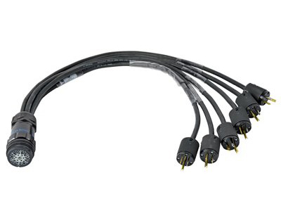 HYPERCORD 6ft 19Pin Female Socapex to 6x Male Edison Breakin Cable